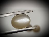 Moonstone set 28.75 ct 16х12 mm