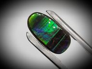 Ammolite 7.59 ct 18.5х9.6 mm