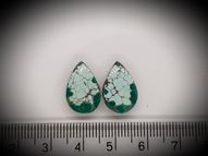 Turquoise pair 8.38 ct 16.3x10.8 mm