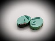 Turquoise pair 10.64 ct 17.5x10.4 mm