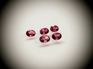 Tourmaline rubellite set 5 pcs. 4х3 mm 0.90 ct