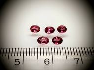 Tourmaline rubellite set 5 pcs. 4х3 mm 0.90 ct