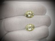 Pair of golden labrador 9.89 ct 12.2 х 10.2 mm