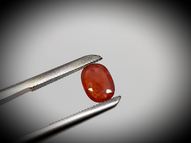 Orange sapphire 1.70 ct 8.8х6.4 mm