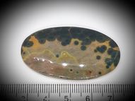 Ocean jasper 48.95 ct 48x27 mm