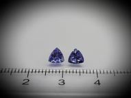 Tanzanite trillion pair 0.81 ct 5 mm